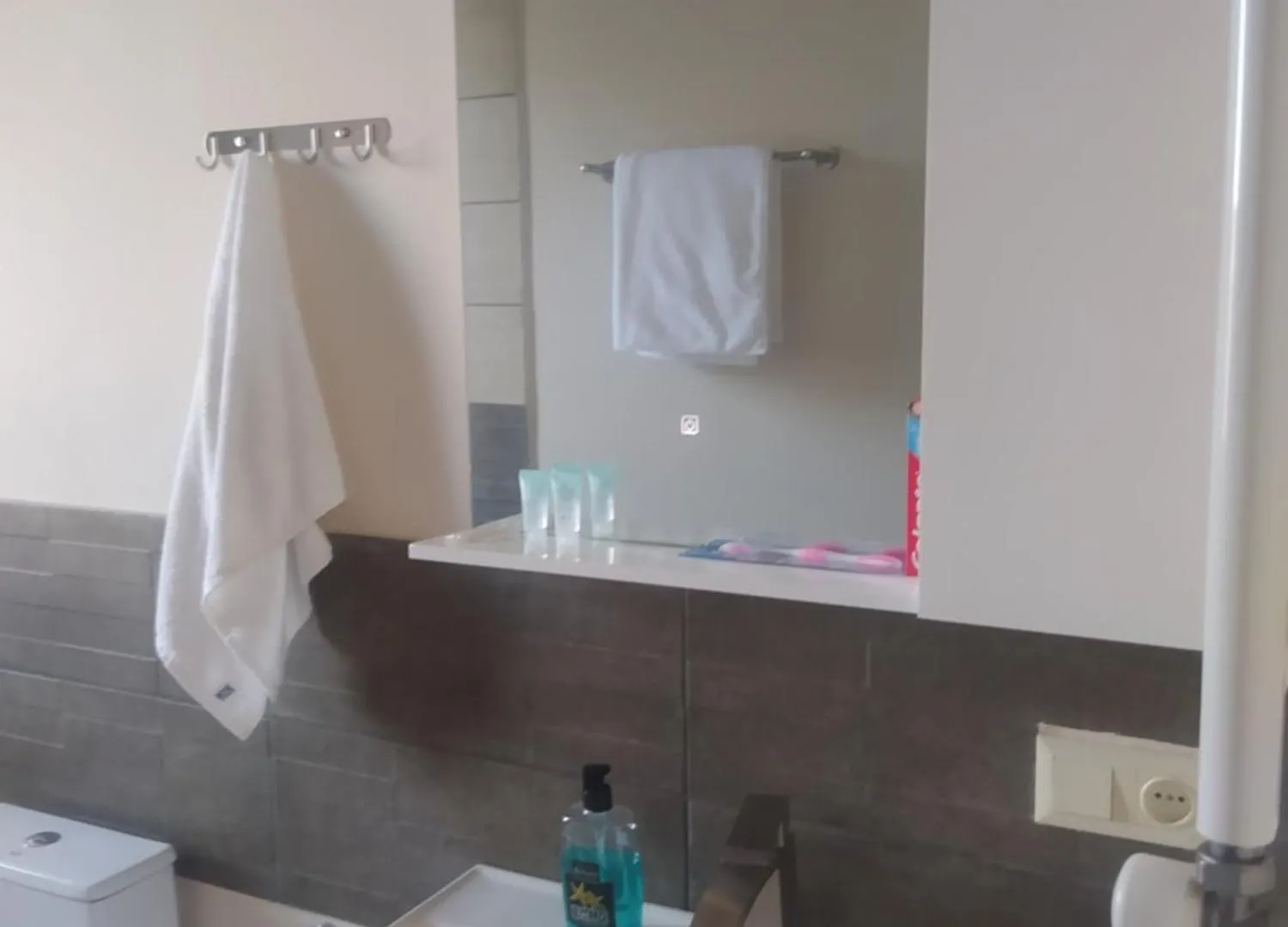 Hotel Shindisi Inn Tbilisi Georgië